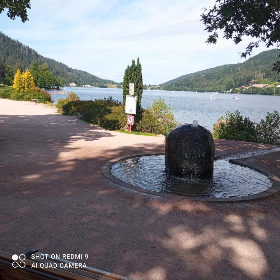 Appartement Les Balcons De La Chalande Le Tholy Gerardmer, Jardin,Balcon, Terrasse, Kültér fotó